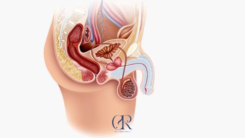 como eliminar la balanitis rápido